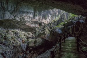 Clearwater Cave Entrance at Mulu National Park
