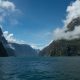Diving and Boat Cruise in Milford Sounds