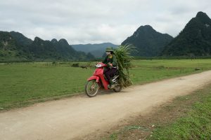 Food for Elephants at Tu Lan Expedition