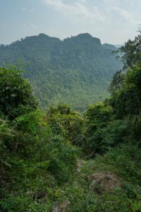 Green Everywhere on Tu Lan Expedition