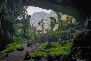 Tien 1 Cave Exit on Tu Lan Expedition