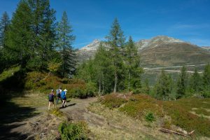 Along the "Strada degli Alpi"