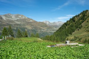 Lunch Break at Alpe di Cristallina